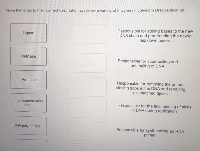 Solved Move the terms to their correct description to review