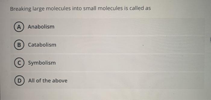 Solved Breaking Large Molecules Into Small Molecules Is | Chegg.com