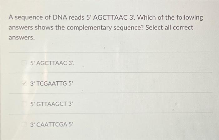 Solved A sequence of DNA reads 5' AGCTTAAC 3'. Which of the | Chegg.com