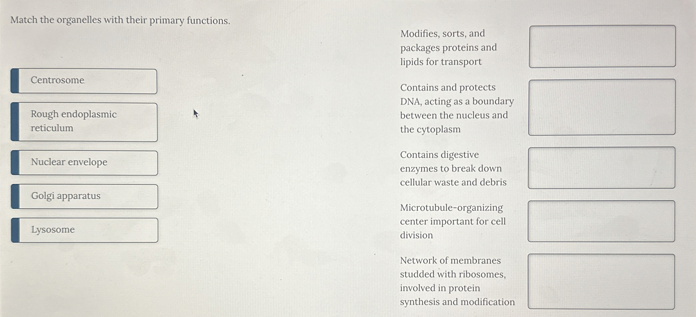 Solved Match the organelles with their primary | Chegg.com
