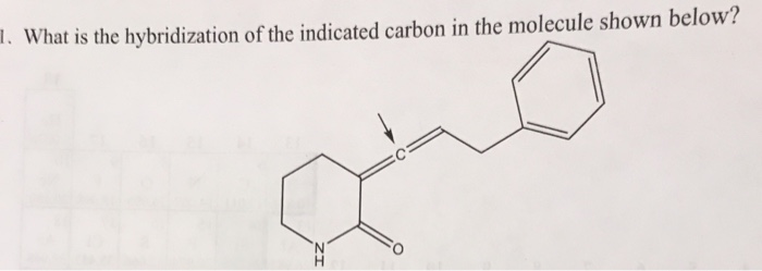 Solved 1 What Is The Hybridization Of The Indicated Carbon 5361