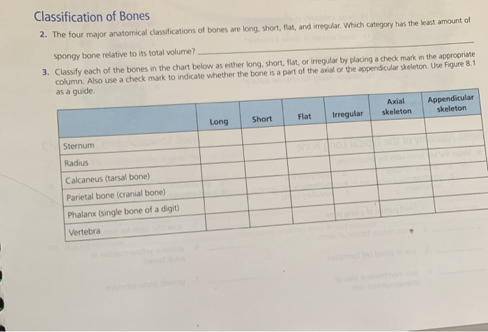 Bone Classification Chart
