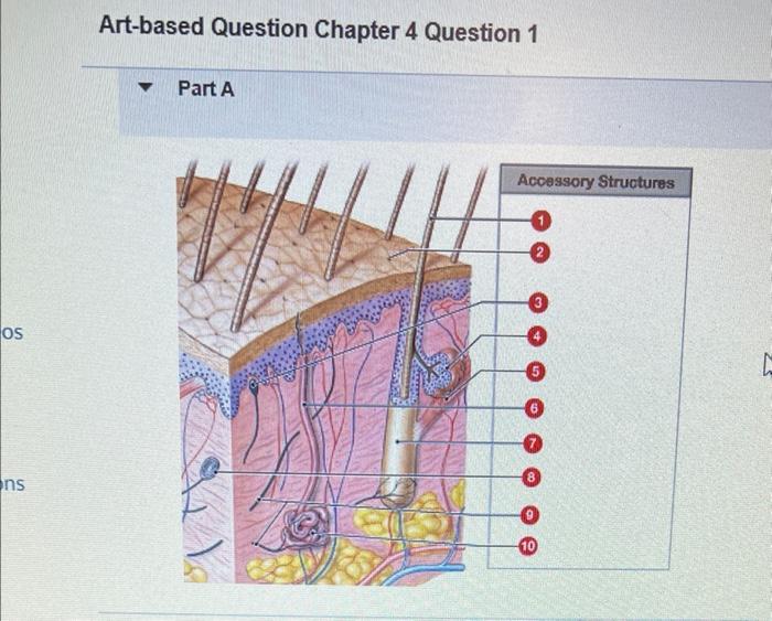 Solved Artbased Question Chapter 4 Question 1 Part A