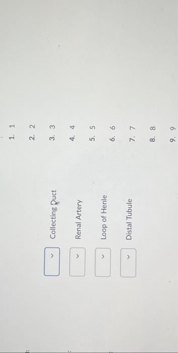 Solved Match each of the structures listed below with the | Chegg.com