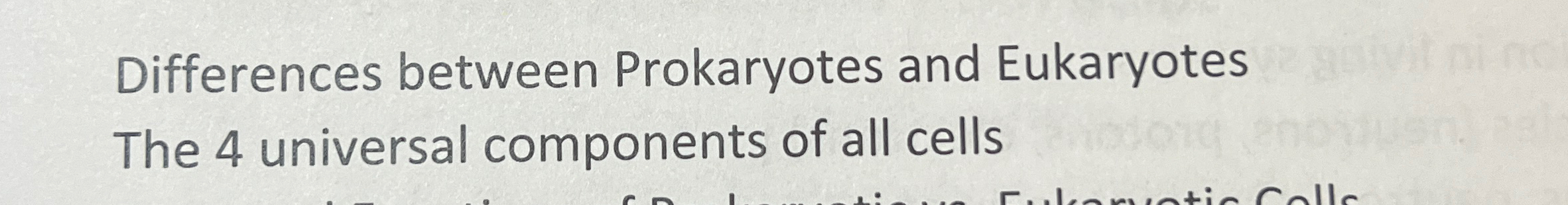 Solved Differences between Prokaryotes and Eukaryotes The 4 | Chegg.com