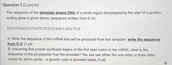 Solved The sequence of the template strand DNA of a small | Chegg.com