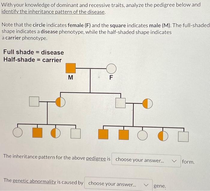 With your knowledge of dominant and recessive traits, | Chegg.com