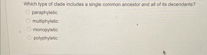Solved Which type of clade includes a single common ancestor | Chegg.com