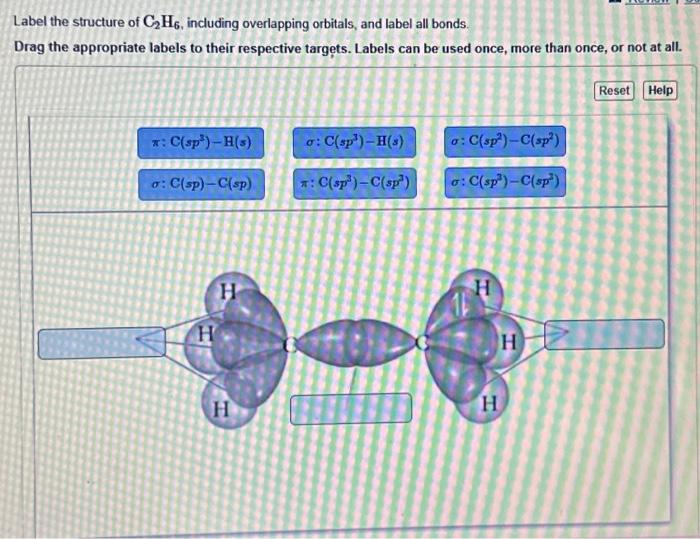 Solved Label the structure of C2H4 including overlapping Chegg