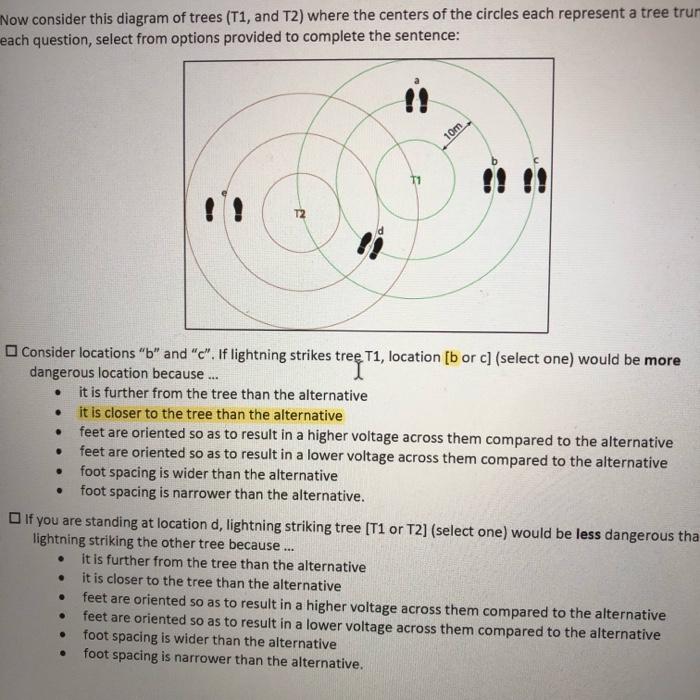 Solved Now consider this diagram of trees (T1, and T2) where | Chegg.com