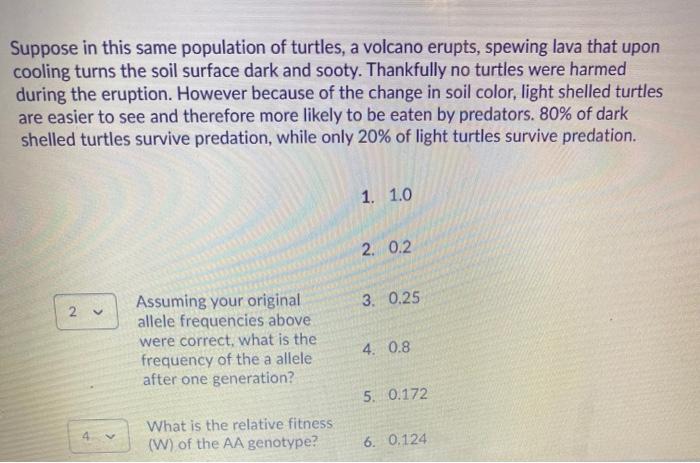 Solved Question 1 (2 Points) Saved A Population Of Turtles | Chegg.com