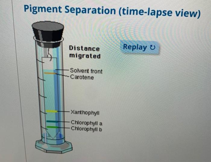 Solved CAN SOMEONE HELP ME WITH QUESTIONS #3, 4, & 5 PLEASE? | Chegg.com