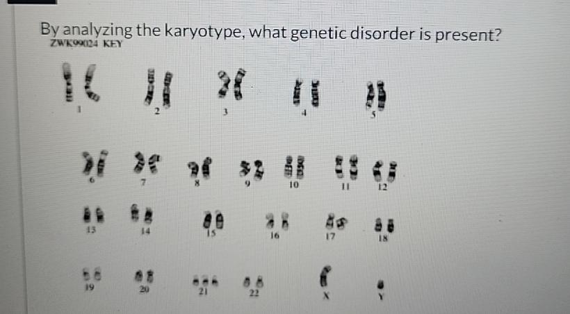 Solved By analyzing the karyotype, what genetic disorder is | Chegg.com