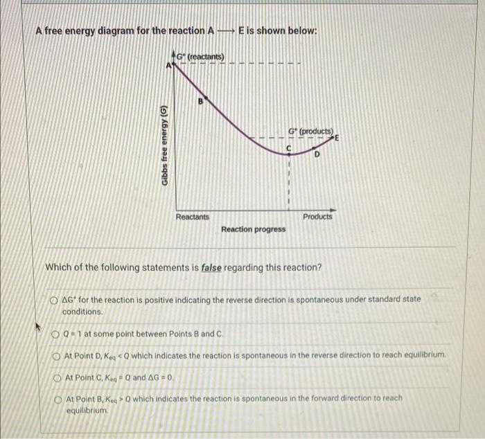 Solved A free energy diagram for the reaction A E is shown | Chegg.com