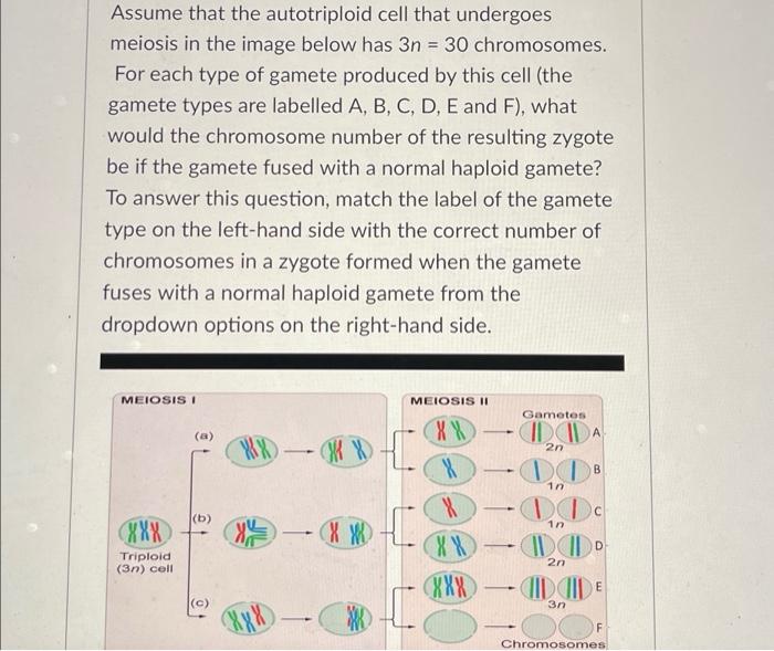 student submitted image, transcription available below