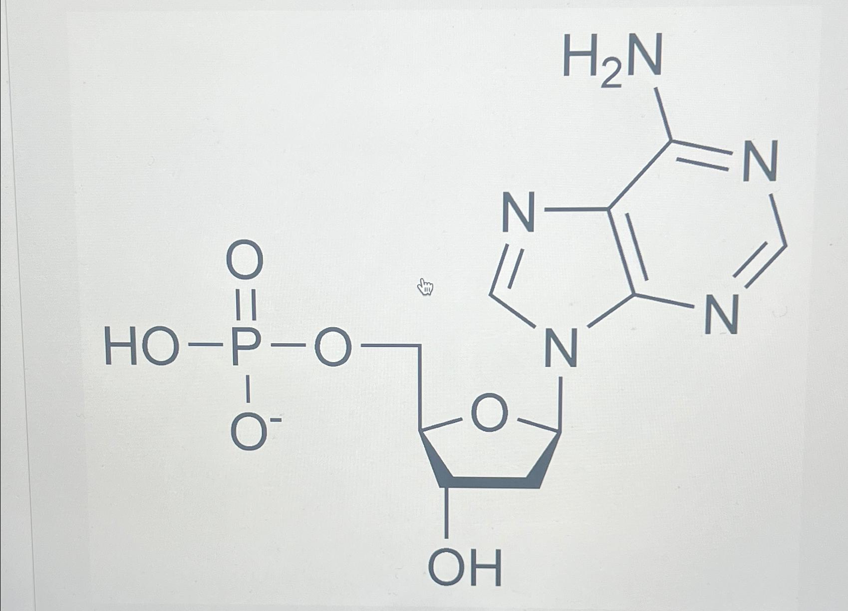 Solved Is this a nucleotide from an RNA, a carbohydrate, a | Chegg.com