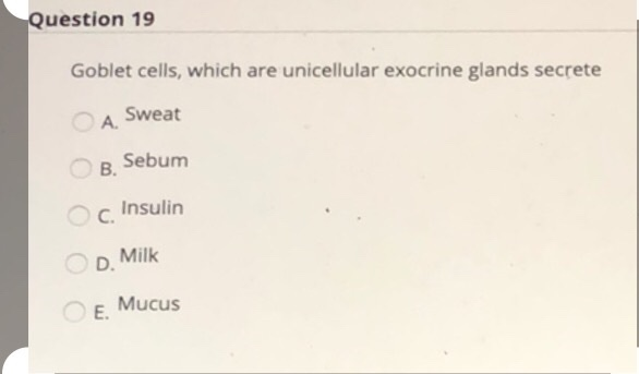 Solved Question 19 Goblet Cells Which Are Unicellular Chegg Com