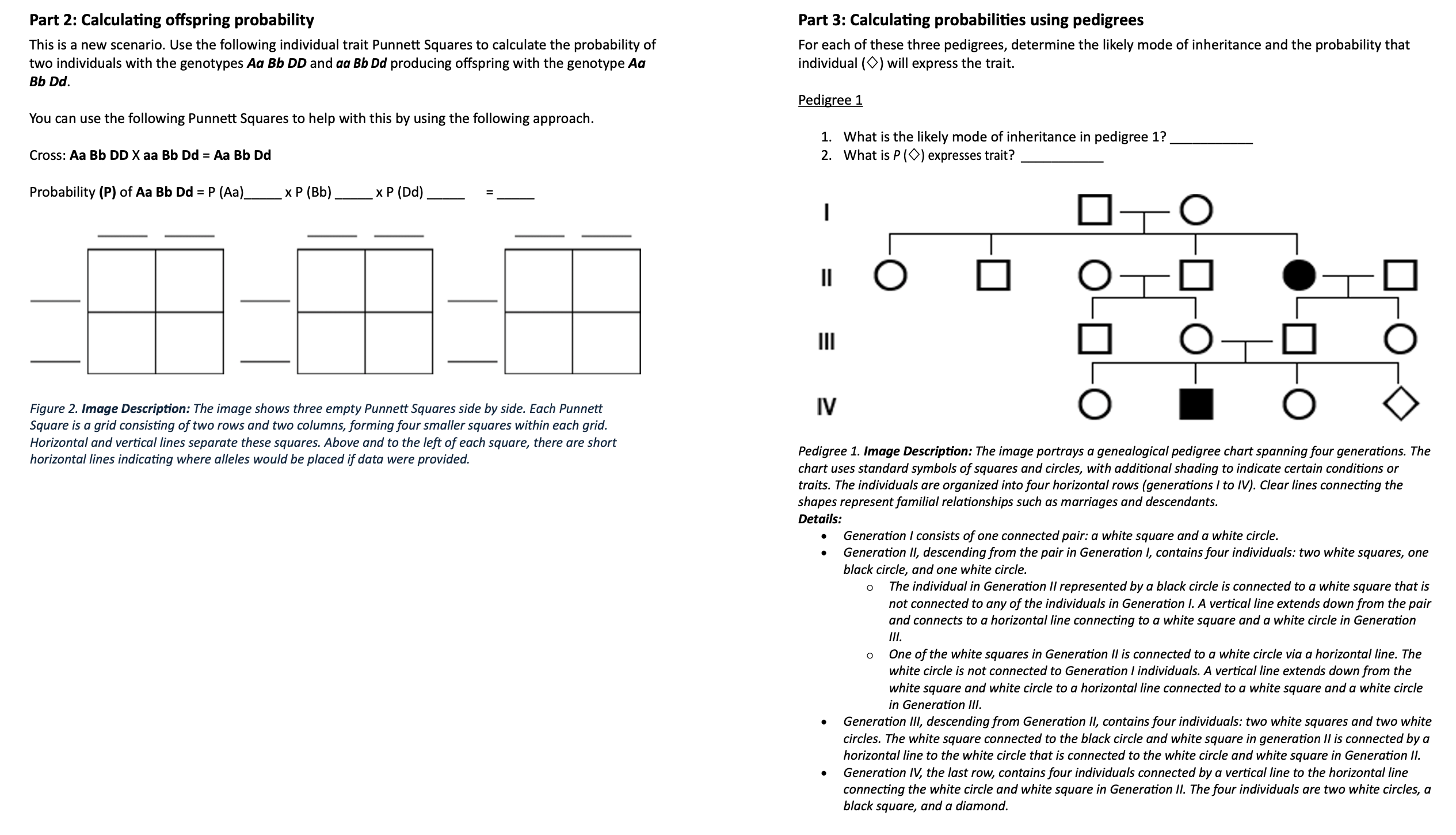 Solved Part 2: Calculating offspring probabilityThis is a | Chegg.com