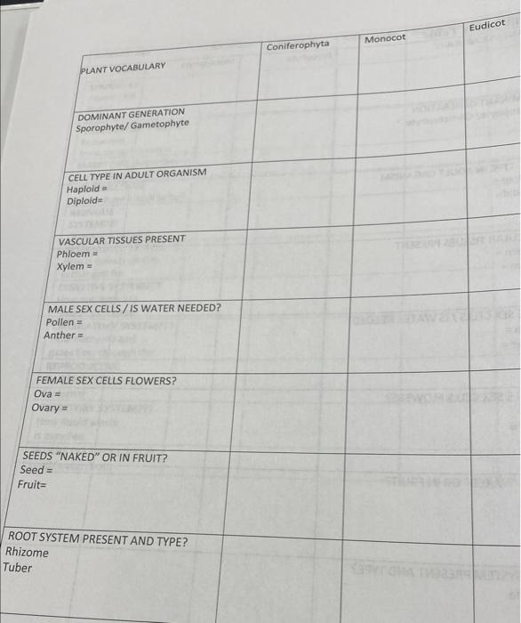 Solved Plant Traits Table Eudicot