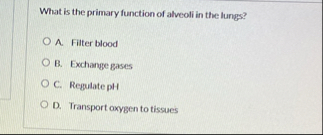 Solved What is the primary function of alveoli in the | Chegg.com