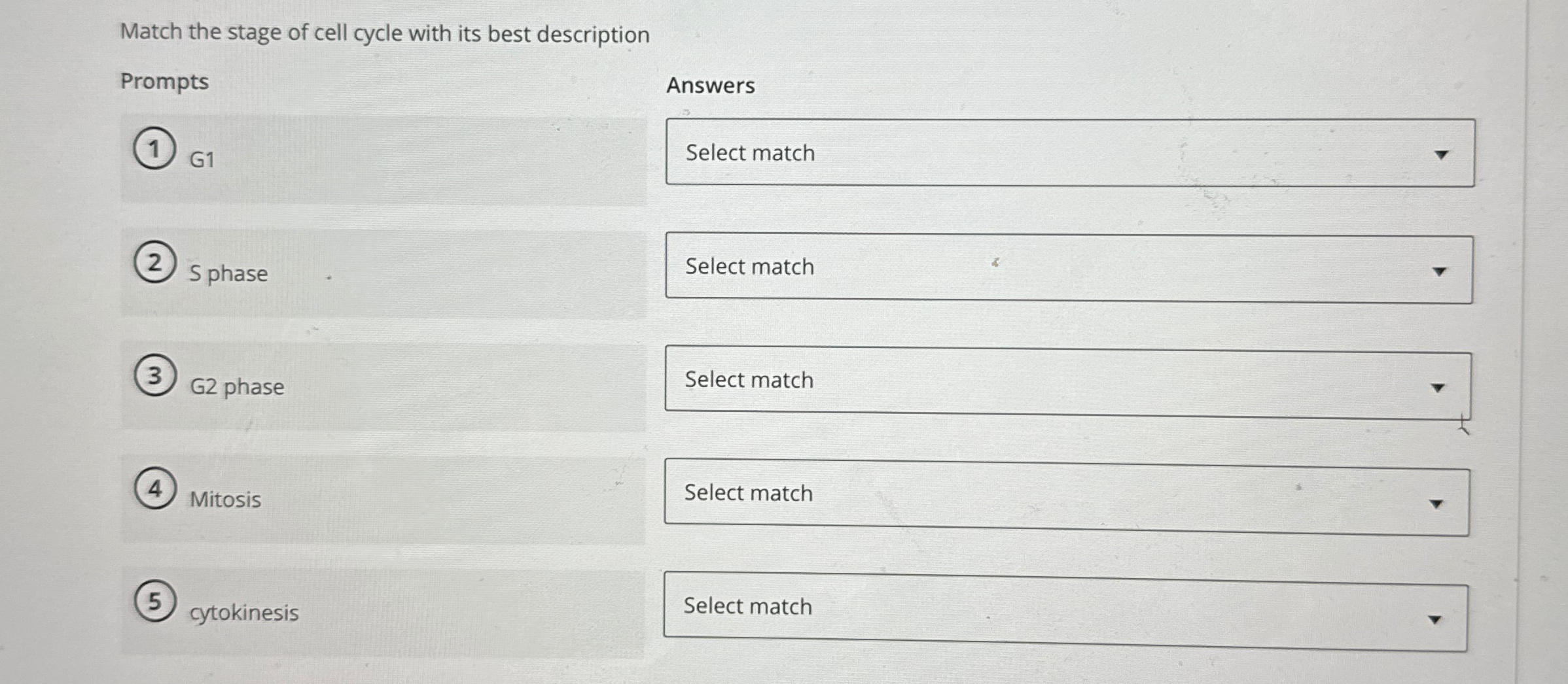 Solved by an EXPERT Match the stage of cell cycle with its best | Chegg.com