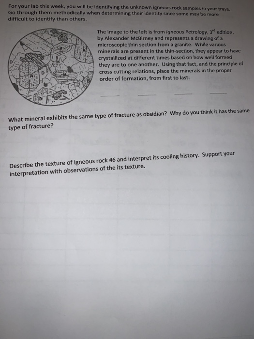Solved For your lab this week, you will be identifying the | Chegg.com