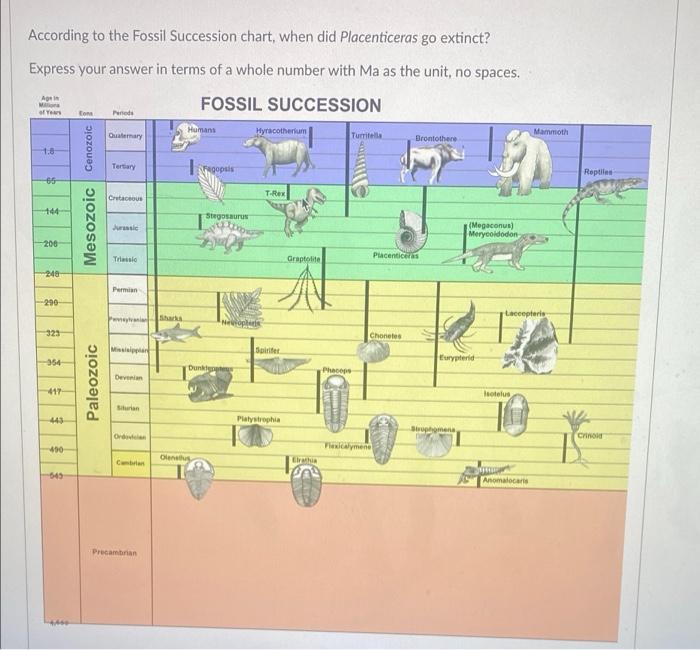Solved According to the Fossil Succession chart, when did