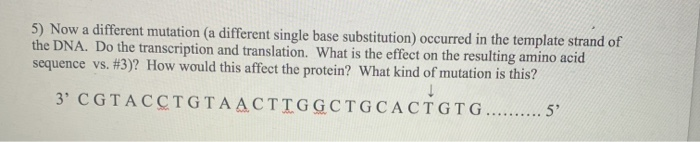 Solved 3) Now translate that mRNA sequence to protein and | Chegg.com