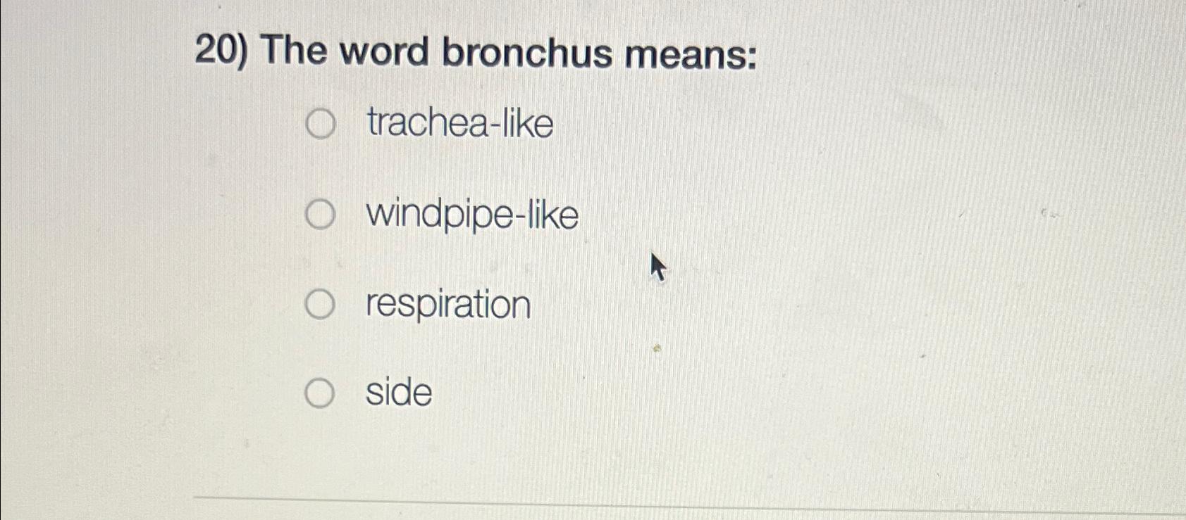 Solved The word bronchus | Chegg.com