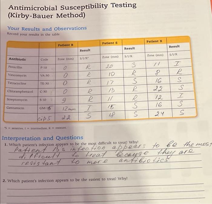 Solved Antimicrobial Susceptibility Testing (Kirby-Bauer | Chegg.com