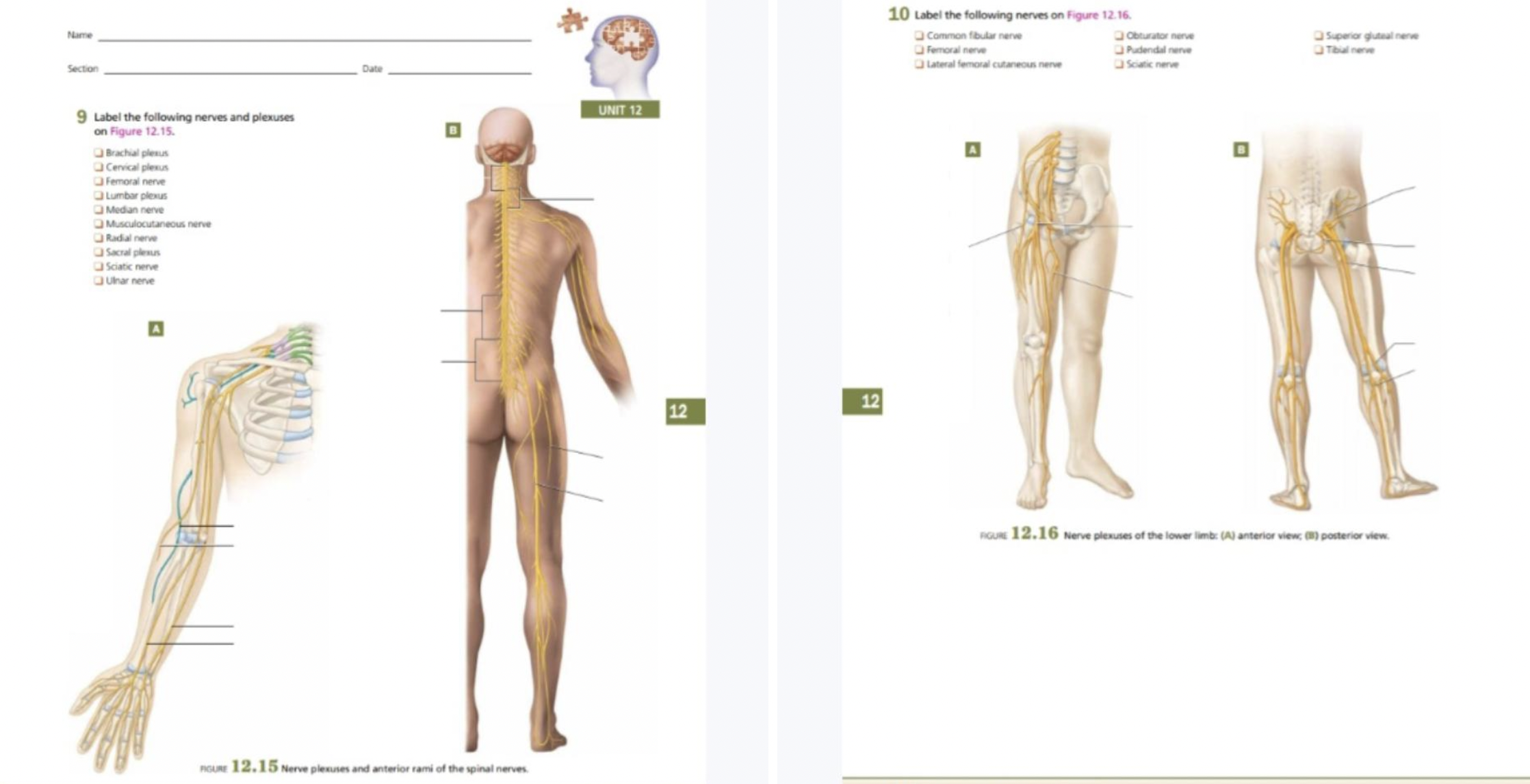 Solved Label the following figures | Chegg.com