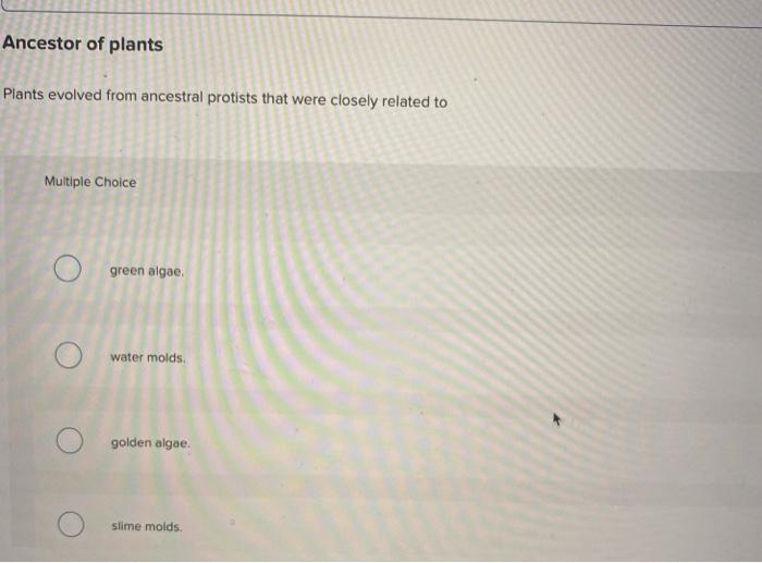 Solved Characteristics of fungal phyla Match each label to | Chegg.com