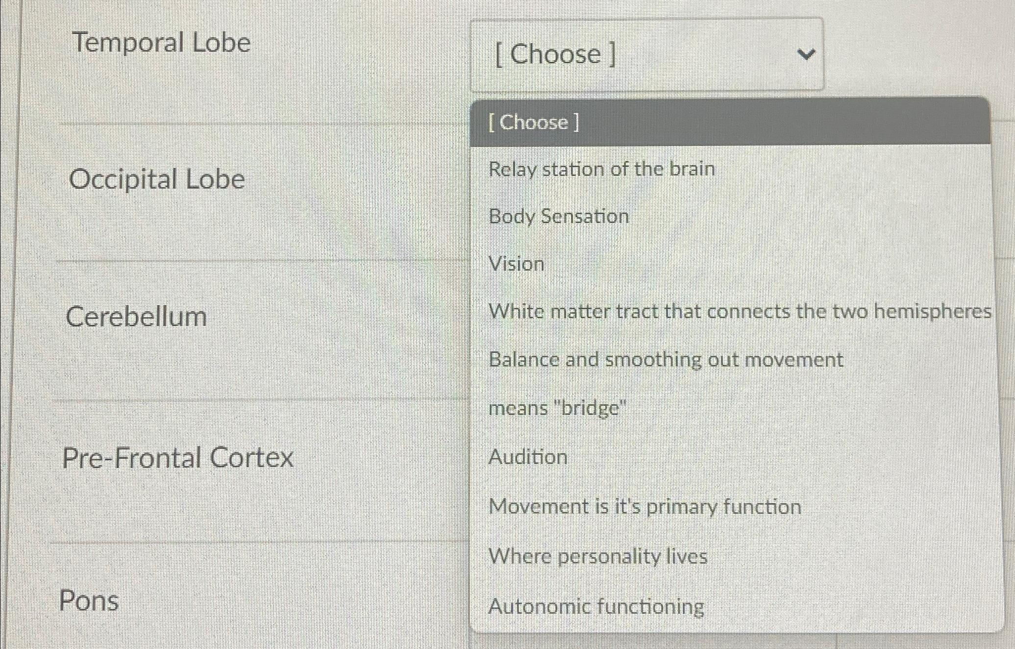 Solved Temporal Lobe[Choose ]Occipital