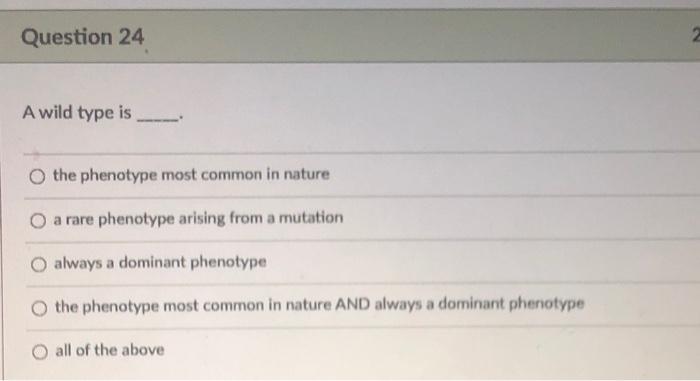 Solved Question 24 A wild type is O the phenotype most | Chegg.com