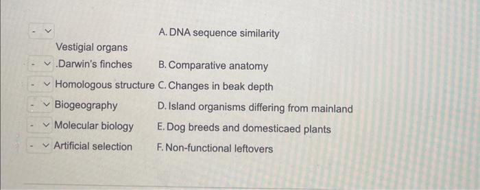 [Solved]: Evolution Evidence D. Biogeography E. Molecular B