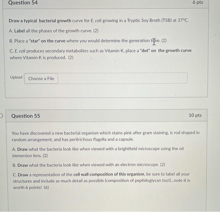 Solved Question 54 6 pts Draw a typical bacterial growth | Chegg.com