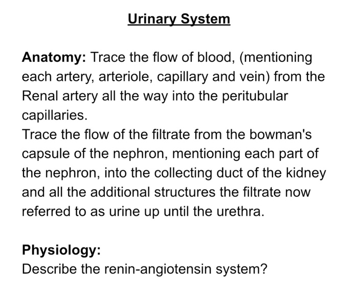 Solved Urinary System Anatomy: Trace the flow of blood, | Chegg.com