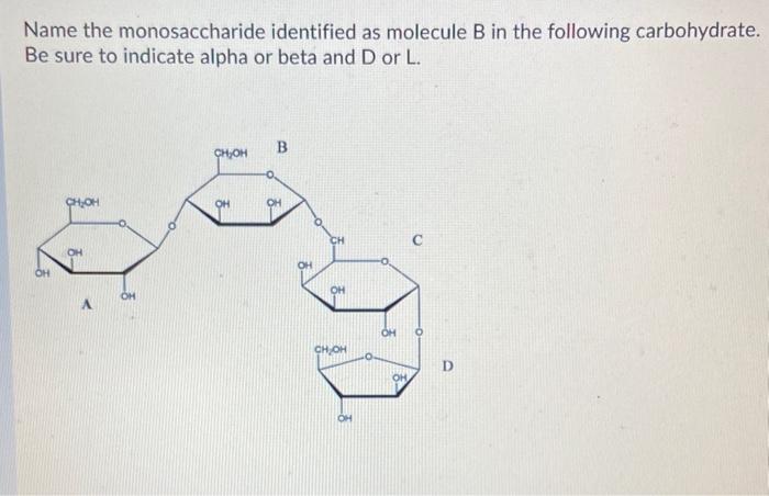 Solved Name The Monosaccharide Identified As Molecule B In | Chegg.com