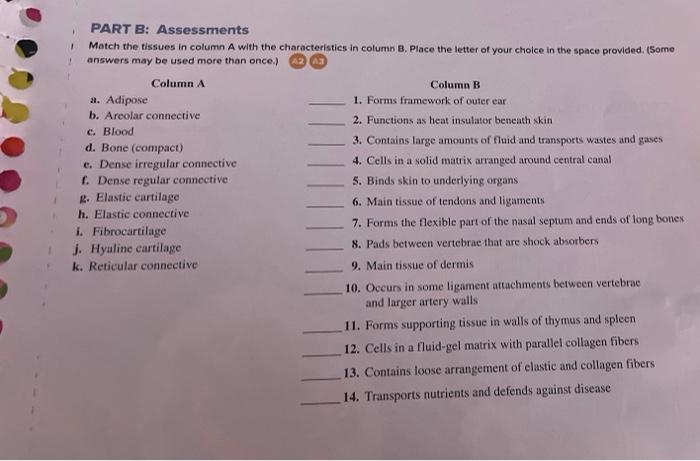 solved-part-b-assessments-match-the-tissues-in-column-a-chegg