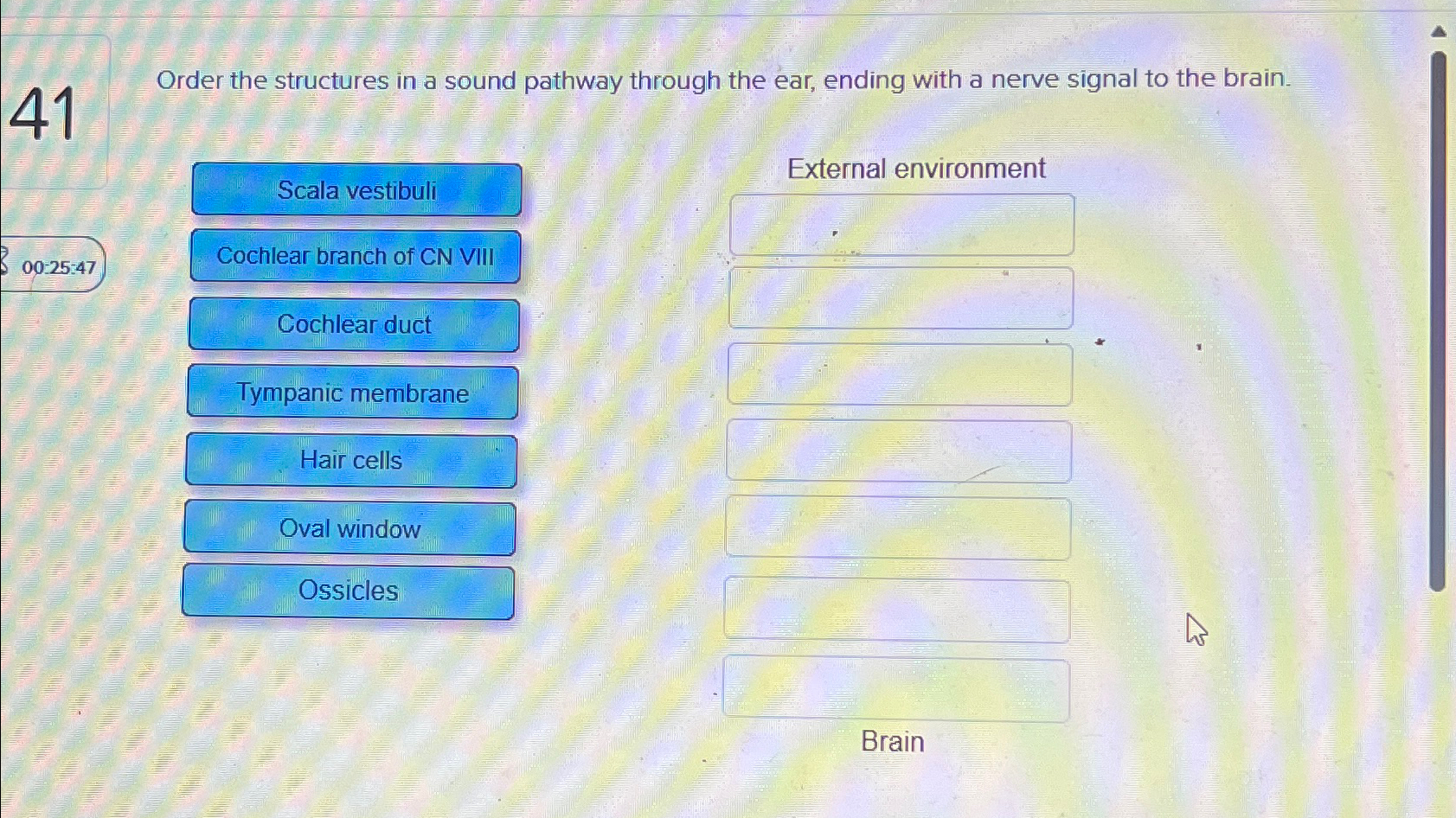 Solved 41Order the structures in a sound pathway through the | Chegg.com