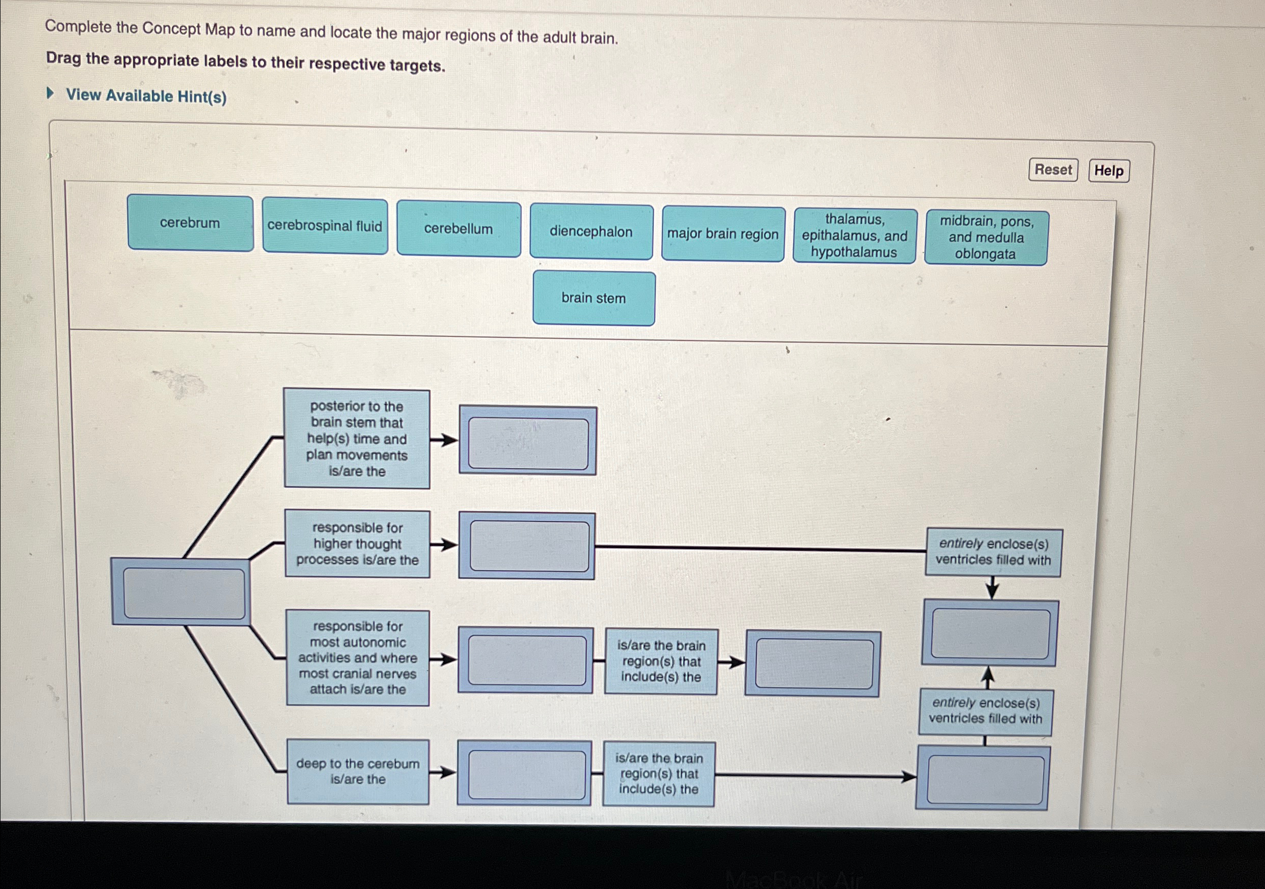 Solved Complete the Concept Map to name and locate the major | Chegg.com