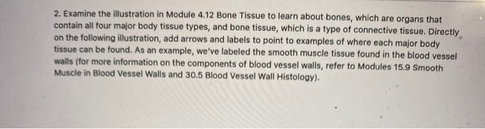 Solved 2. Examine the illustration in Module 4.12 Bone | Chegg.com