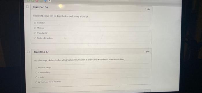 Solved Question 36 pe Neuron N above can be described as | Chegg.com