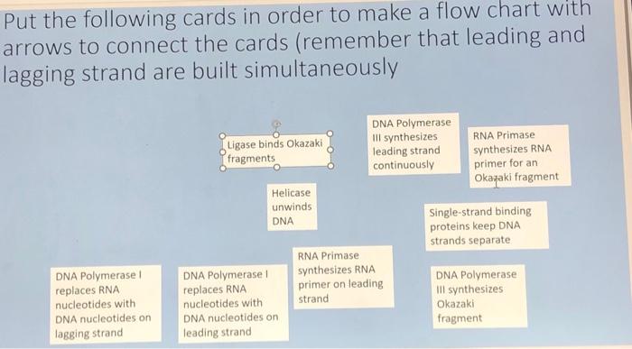 Solved Put the following cards in order to make a flow chart | Chegg.com