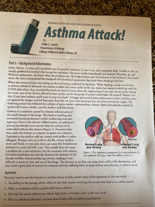 What is contained within a quick-relief rescue inhaler? image