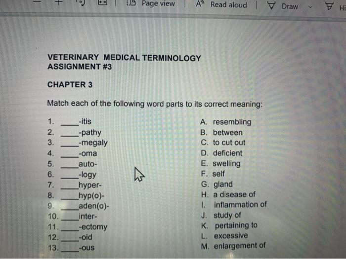 Chapter 4 medical terminology answers