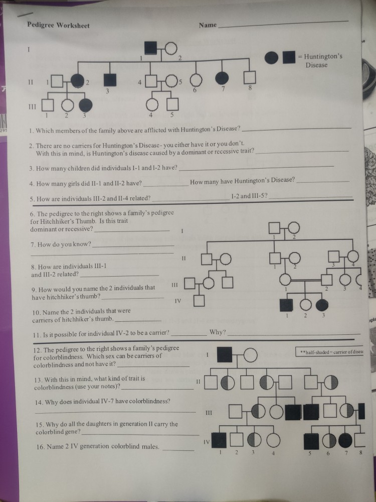 Pedigree Worksheet Name Huntington S Disease 1 Chegg Com