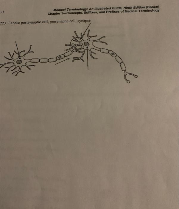 Solved 16 Medical Terminology An Illustrated Guide, Ninth
