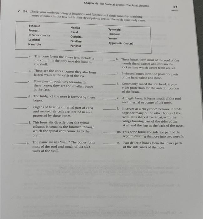 Solved Chapter 6: The Skeletal System: The Ariel Shelton 67 | Chegg.com