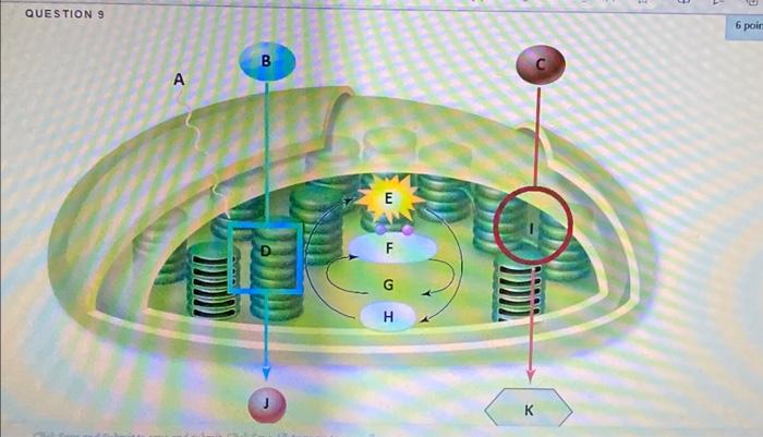 Solved QUESTION 9 B A C J G H F JRefer to the above diagram | Chegg.com
